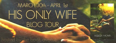 his only wife book summary his only wife book summary