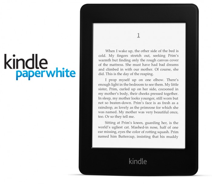 kindle paperwhite ts